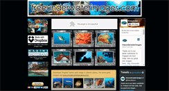 Desktop Screenshot of freeunderwaterimages.com